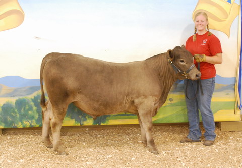 503T Reserve Champion EISF 2008 A