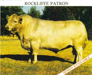 Rockliffe Patron