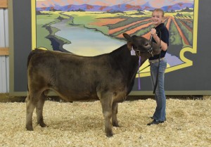 Sydneys Dollar Sign - Champ Bull Overall Sept 2016